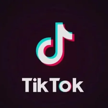2022 Exclusive Tik-Tok Nudes Collection (325+ V!ds) - 2.50GB